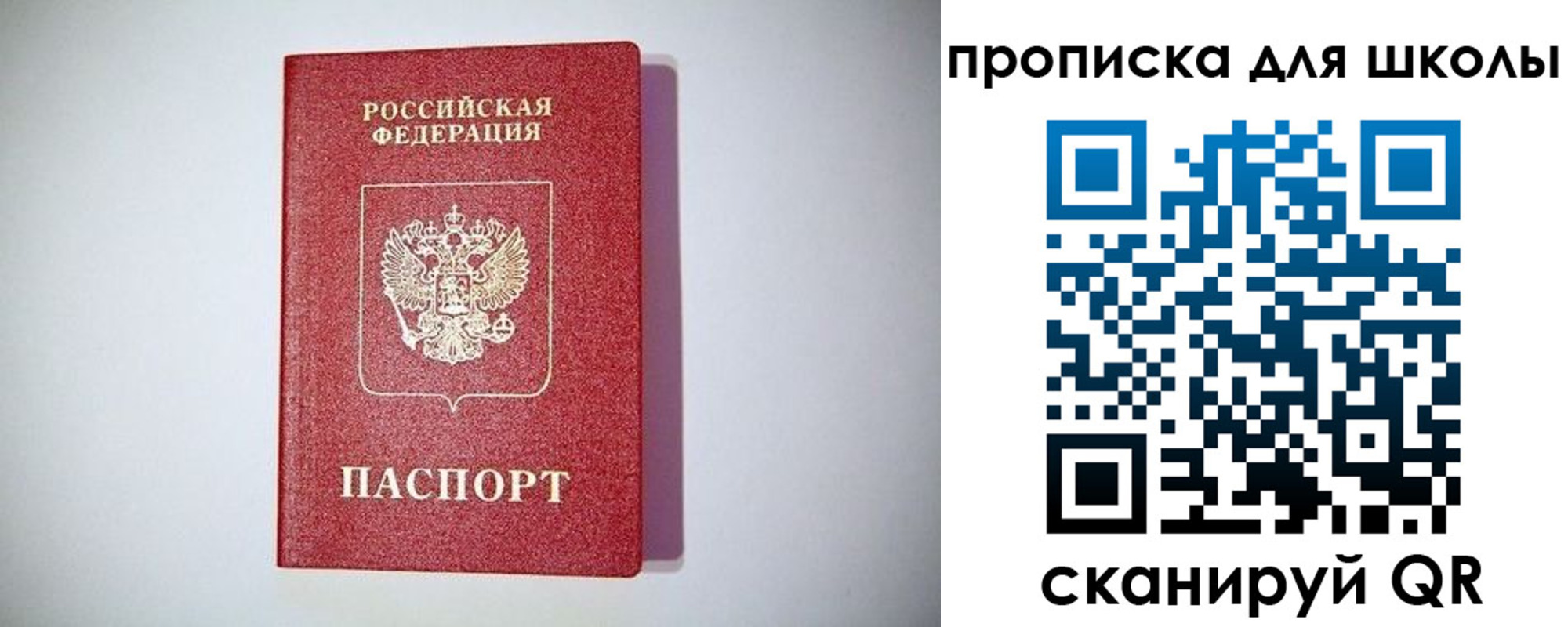 прописка гарантия в Сафоново