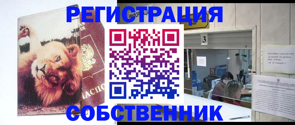 прописка поиск в Сафоново